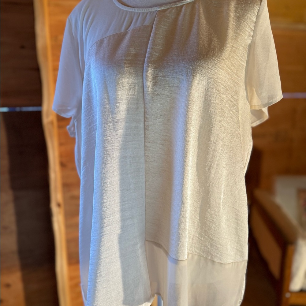 Dressy Short Sleeve Light and Flowy Top size Large Rock & Shine